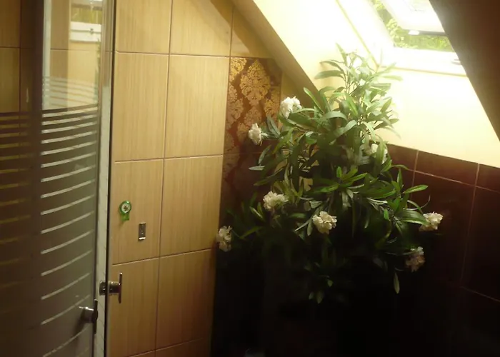 Wynajem Pokoi Pod Lasem Rum i privatbostad