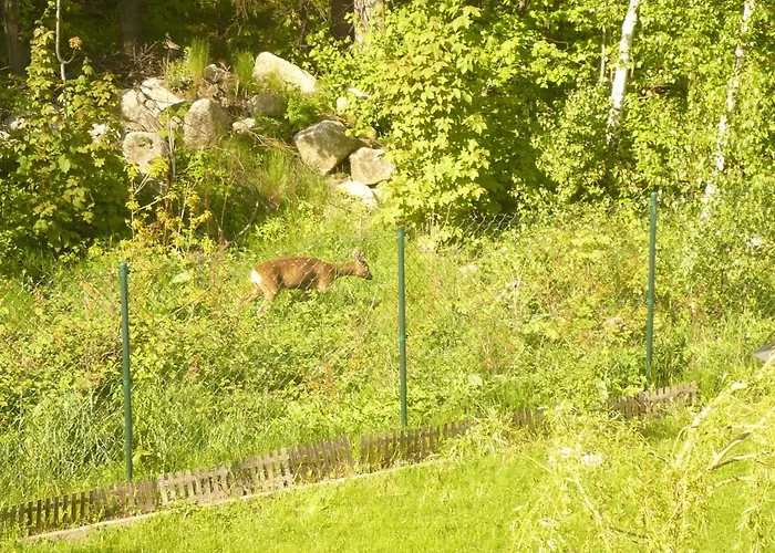 Wynajem Pokoi Pod Lasem Rum i privatbostad *